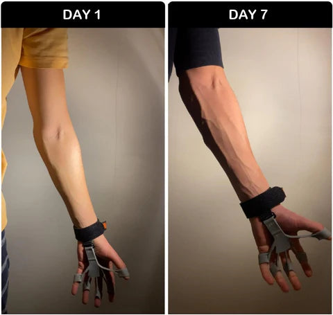 Bundle of 2 : Gripster + Grippler (Hand Trainer)